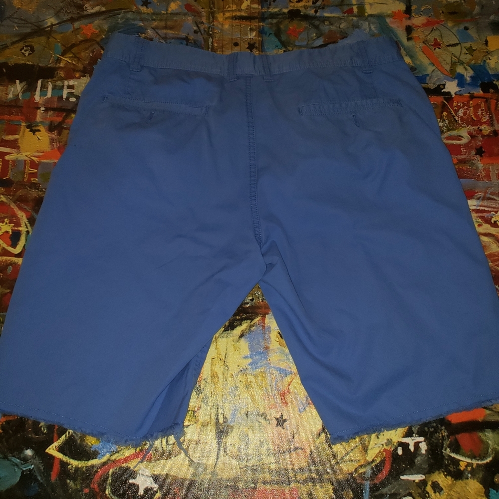 Shorts - Picture 3 of 3